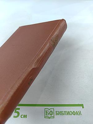 Избранные произведения. Том первый. Стихотворения. Поэмы