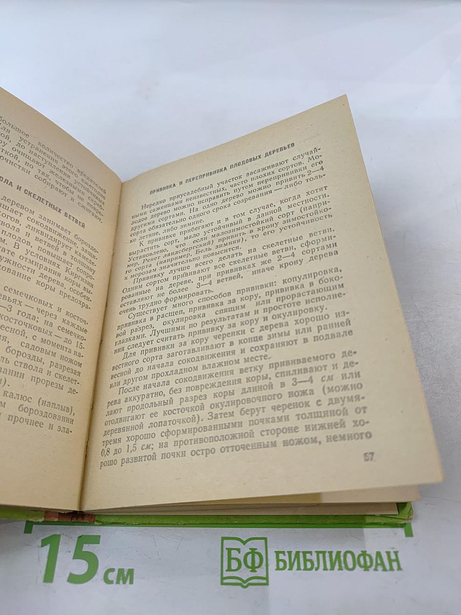 Приусадебный сад и огород