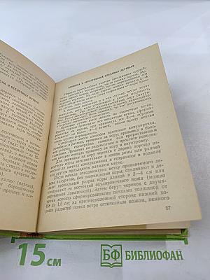 Приусадебный сад и огород