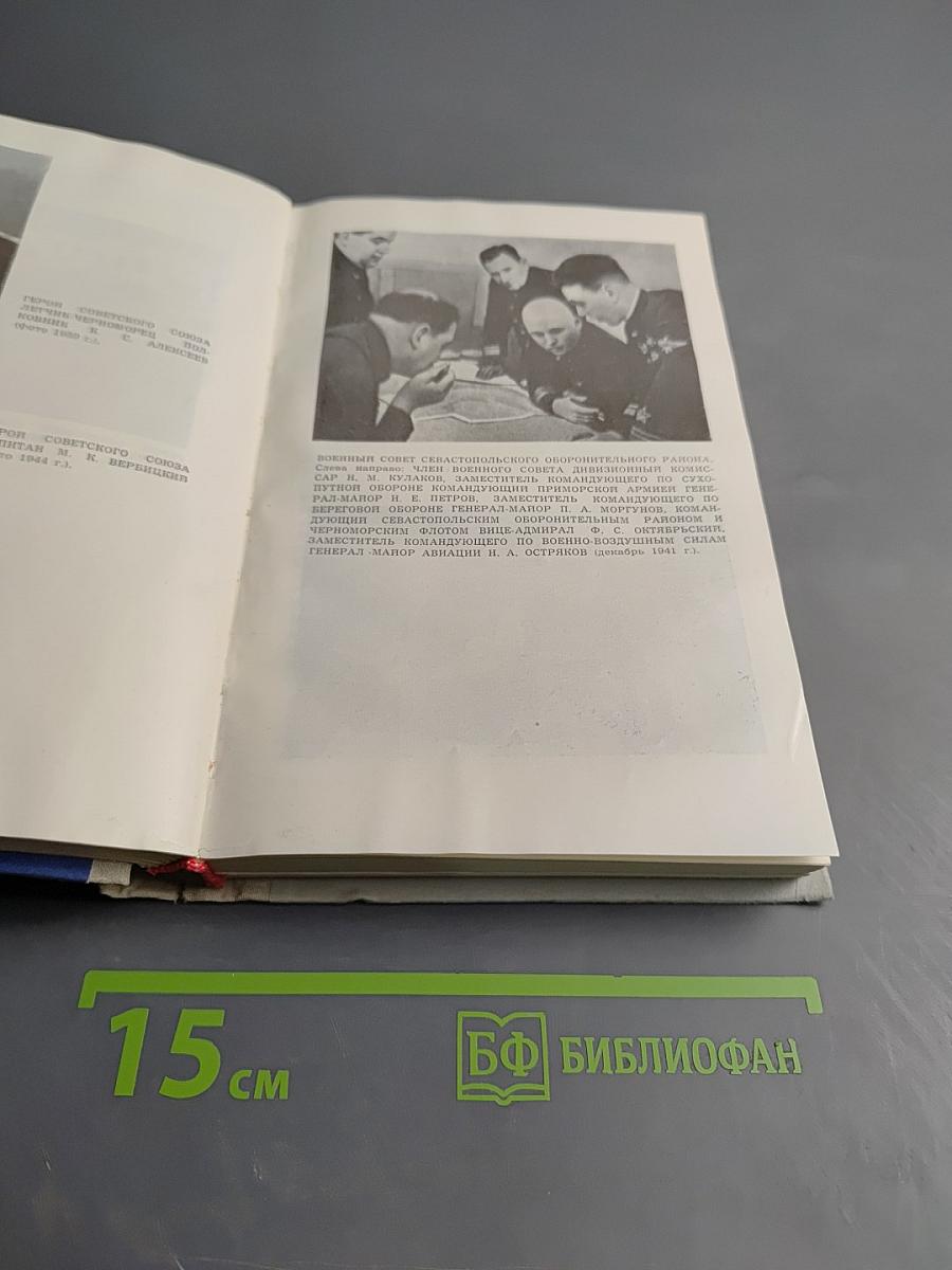 Крылья над морем