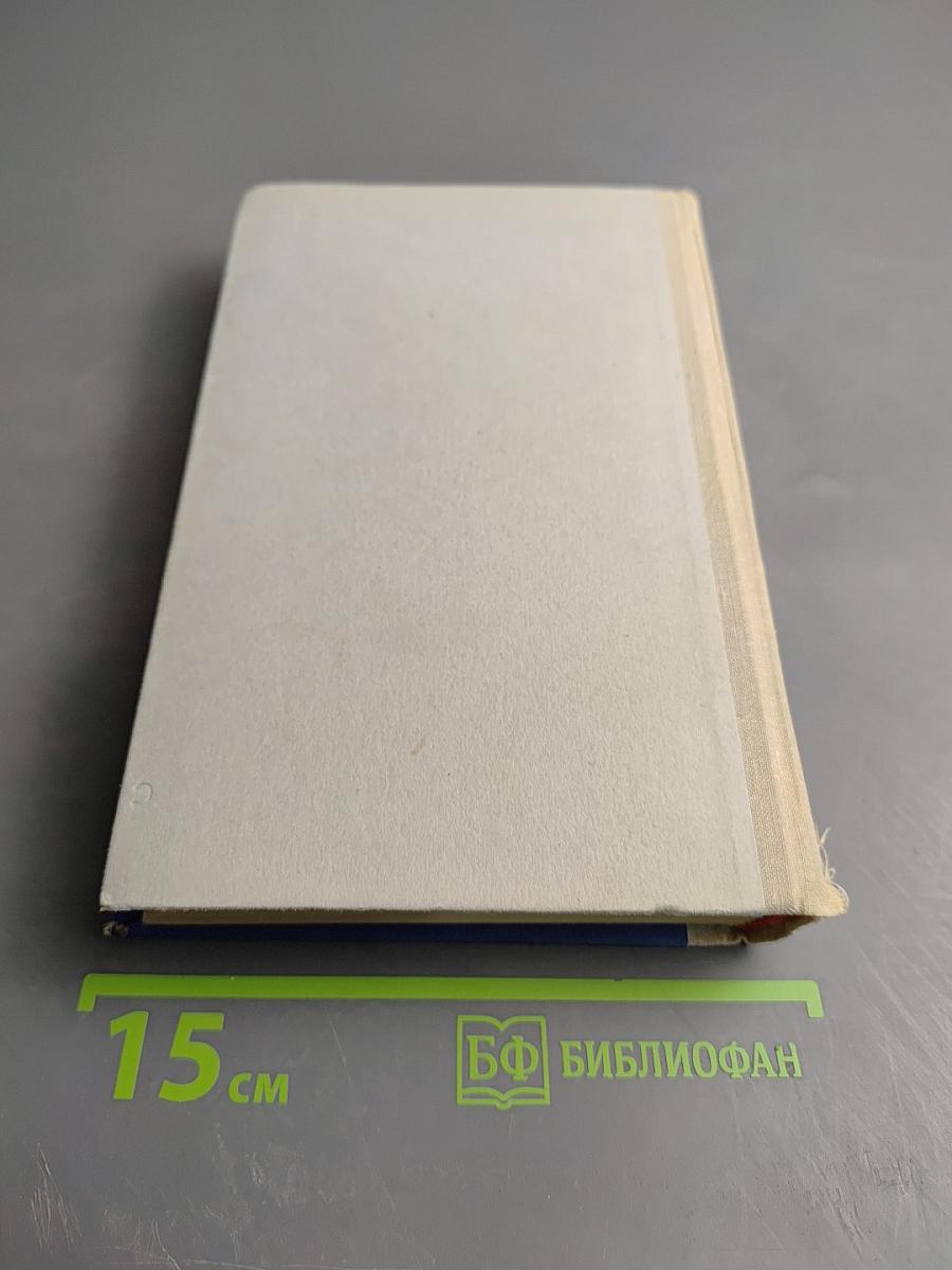 Крылья над морем