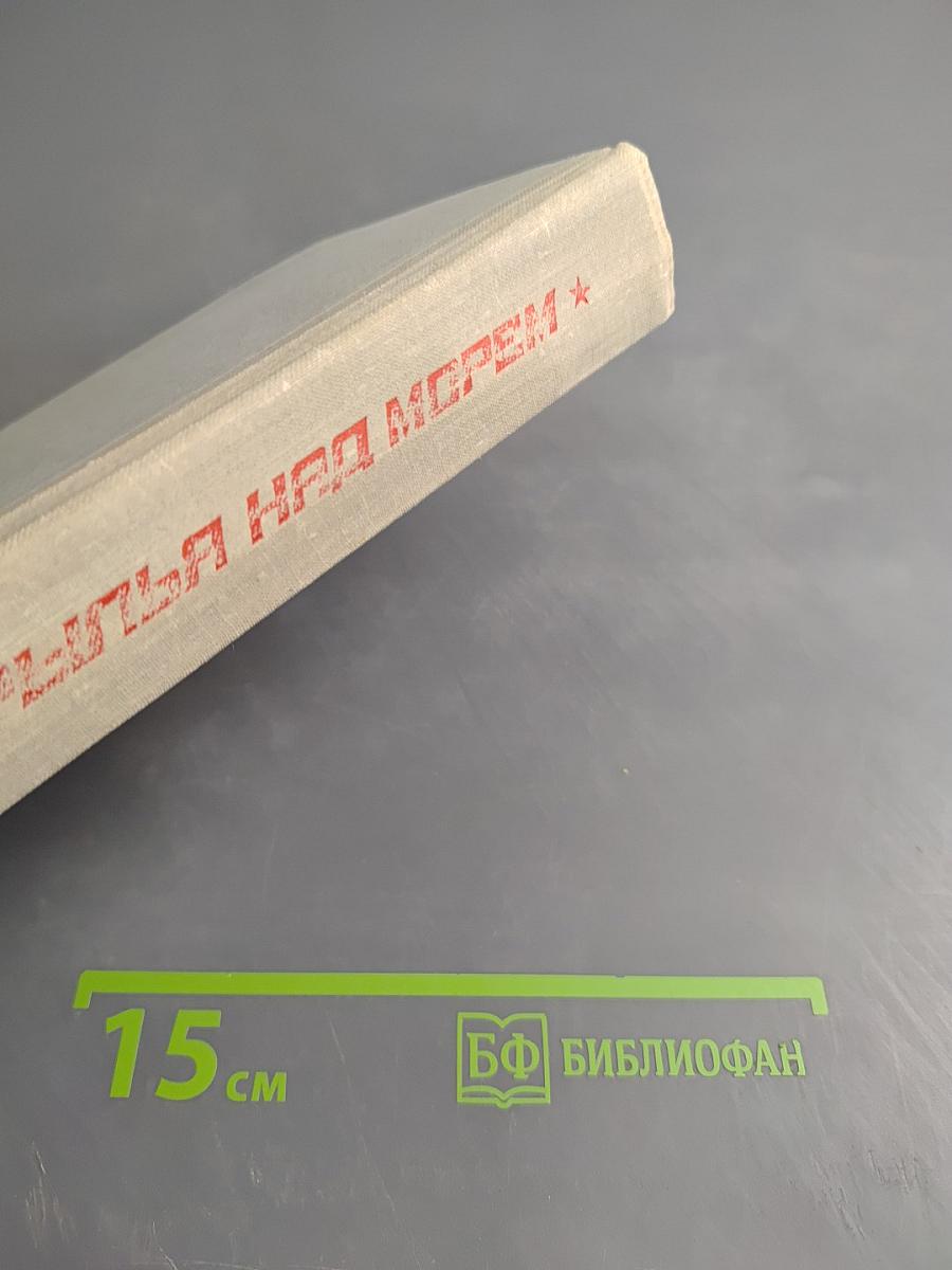 Крылья над морем