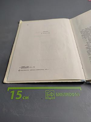 Письмо на панцире