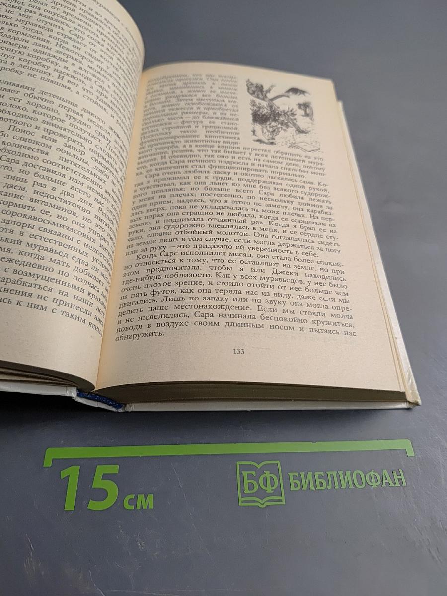 Под пологом пьяного леса