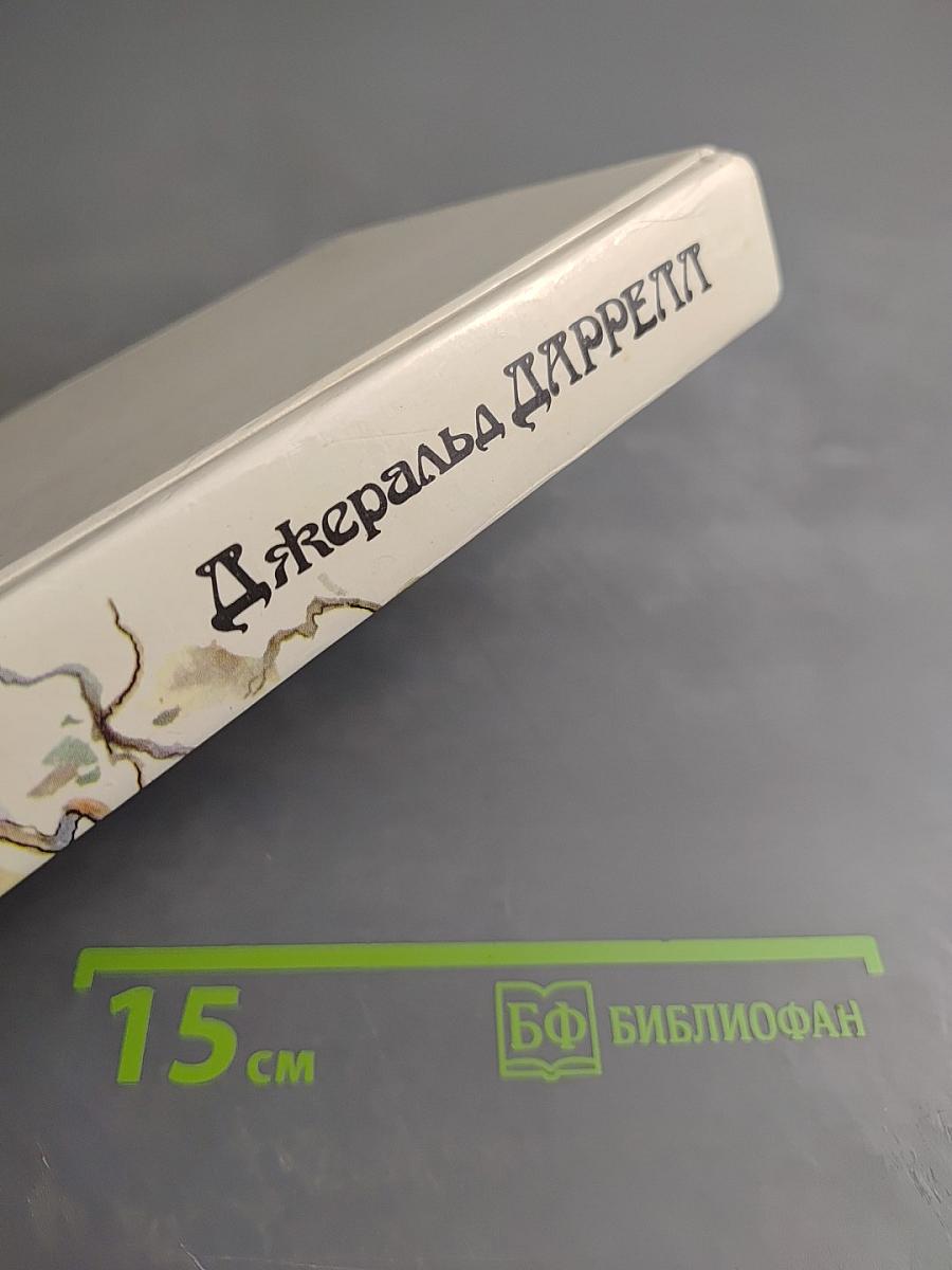 Под пологом пьяного леса