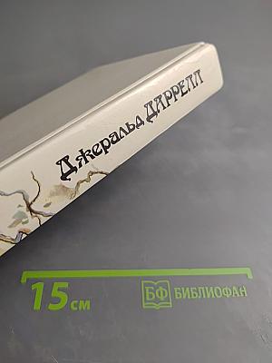 Под пологом пьяного леса