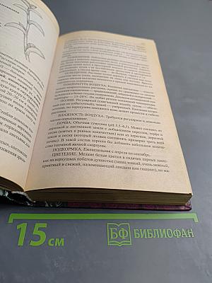 Комнатное цветоводство. Домашний справочник