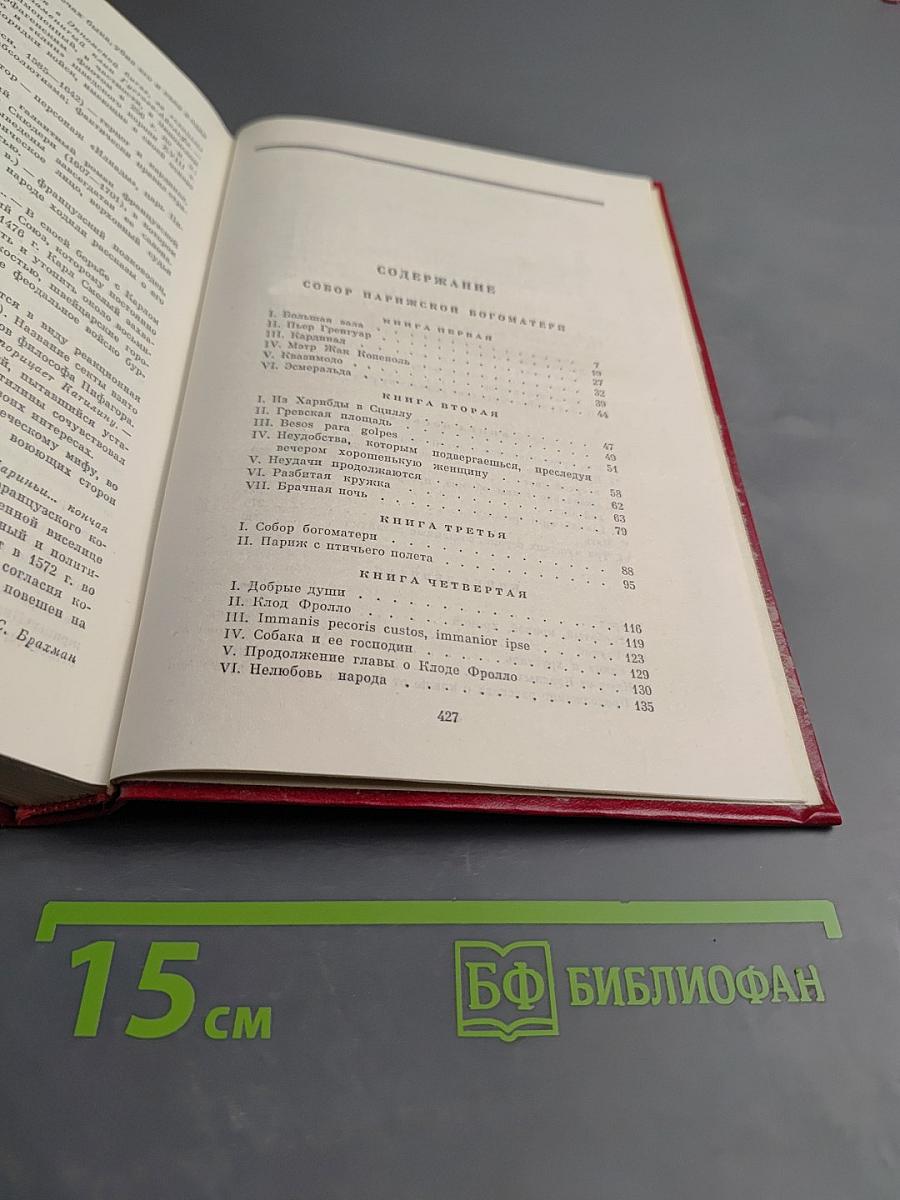 Собор Парижской Богоматери