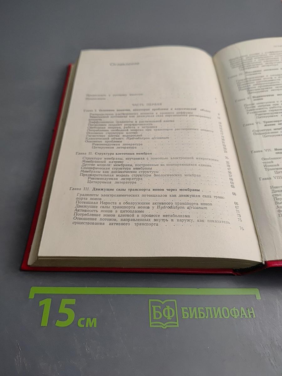 Транспорт ионов и структура растительной клетки