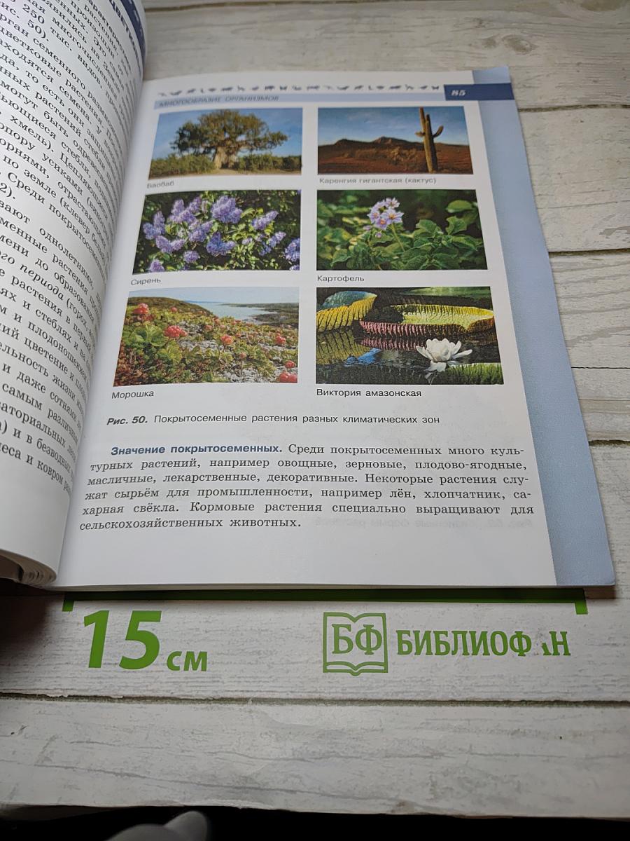 Биология 5-6 классы