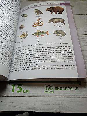 Биология 5-6 классы