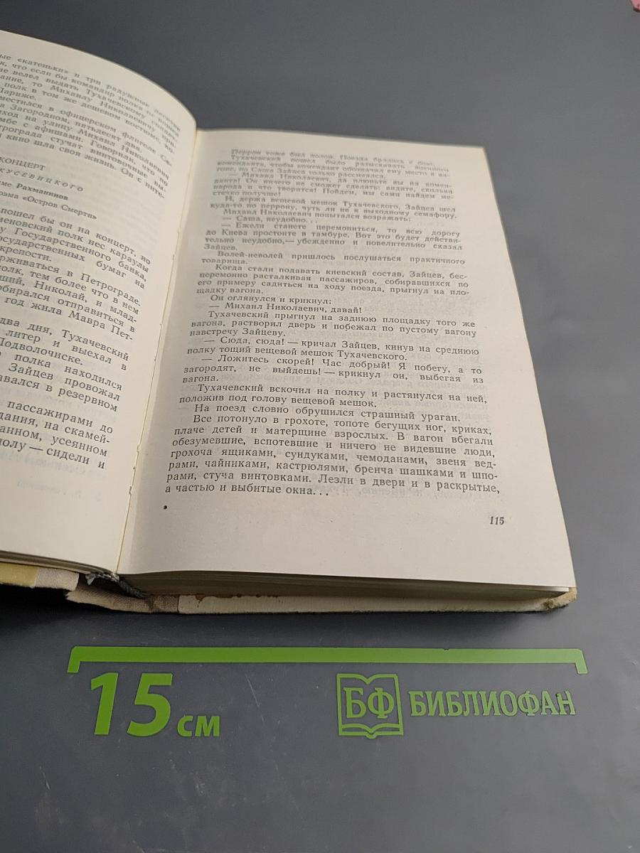 Михаил Тухачевский. Константин Заслонов