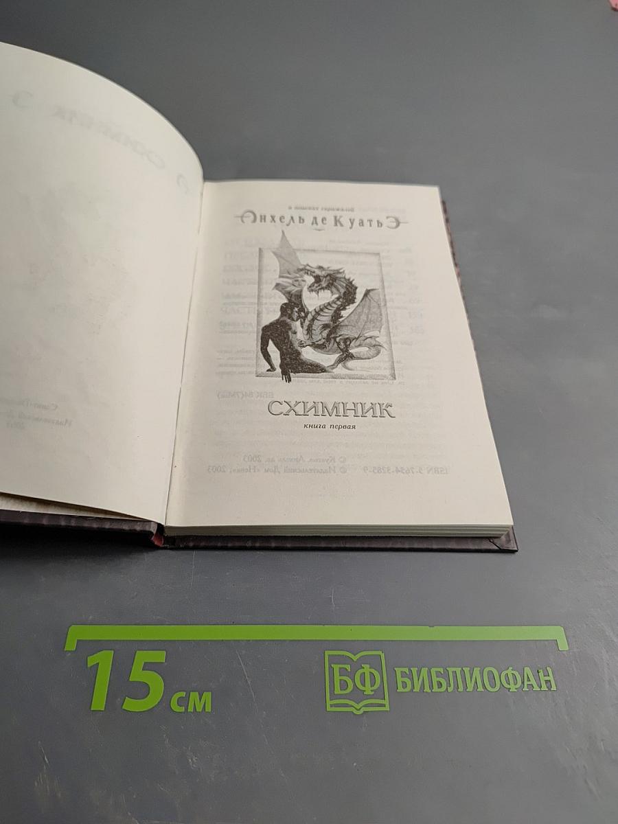 Схимник. Книга первая