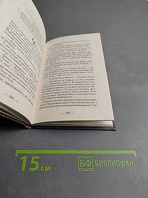 Схимник. Книга первая