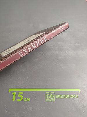 Схимник. Книга первая