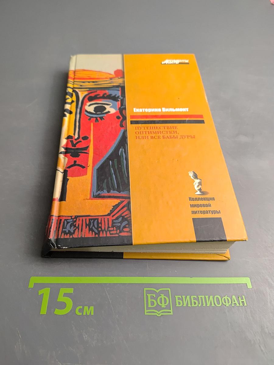 Путешествие оптимистки, или Все бабы дуры