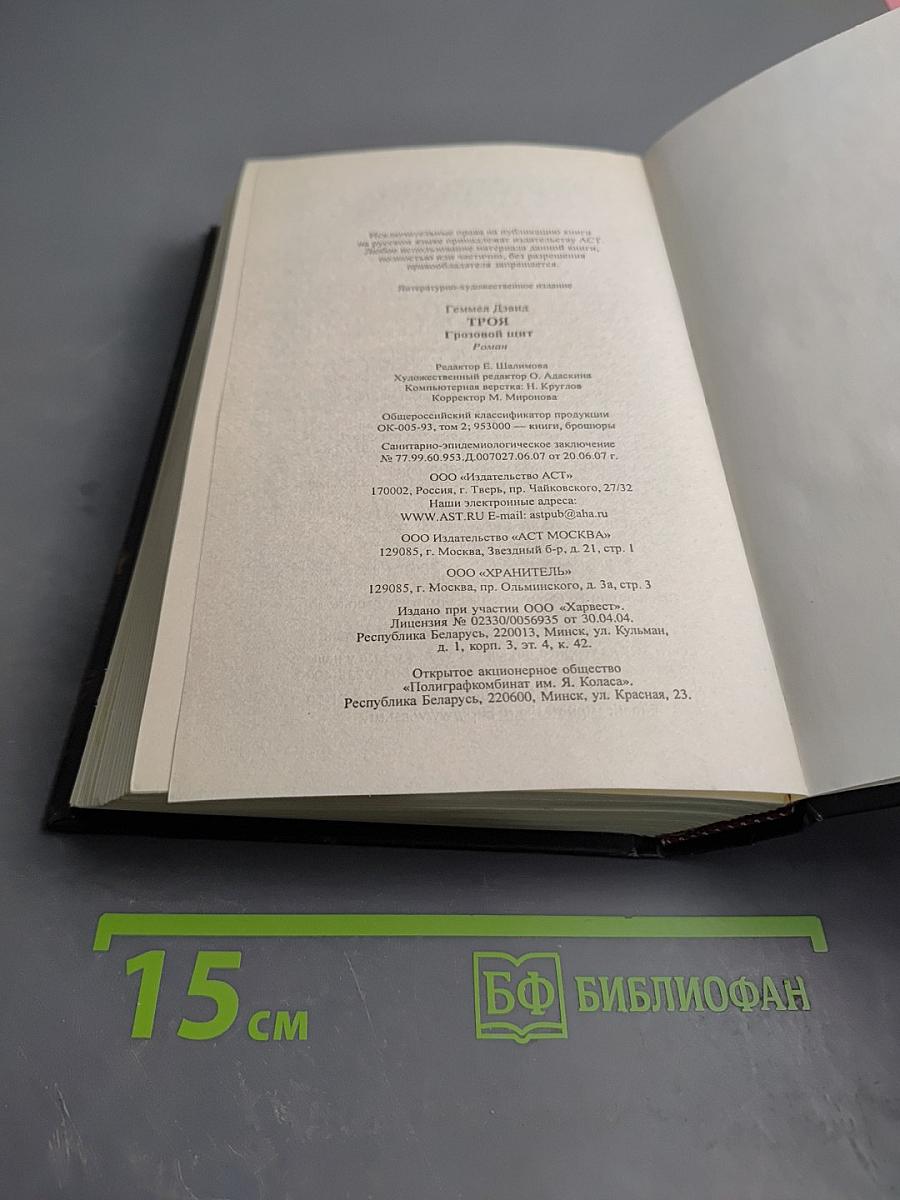 Троя. Грозовой щит