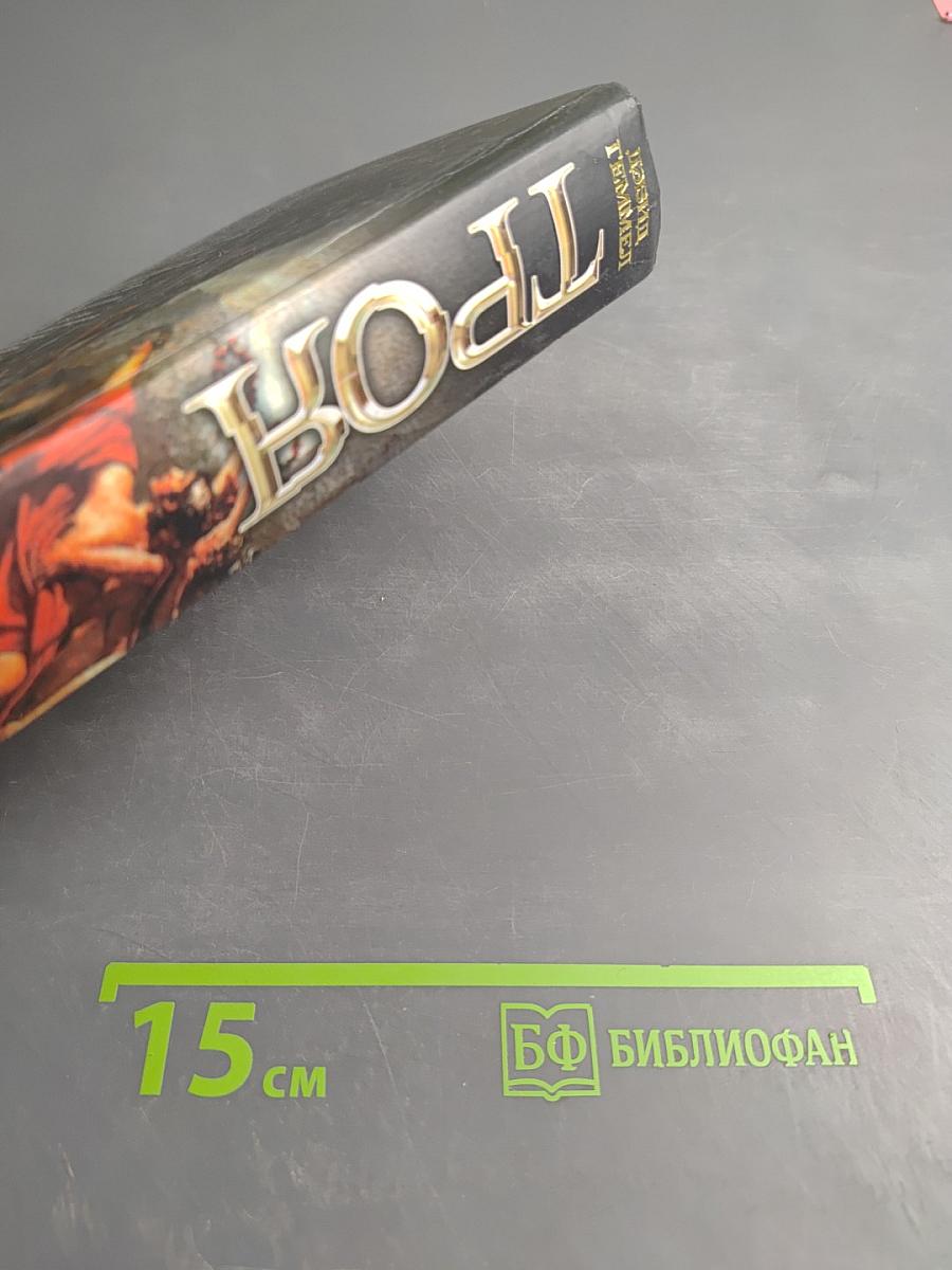 Троя. Грозовой щит