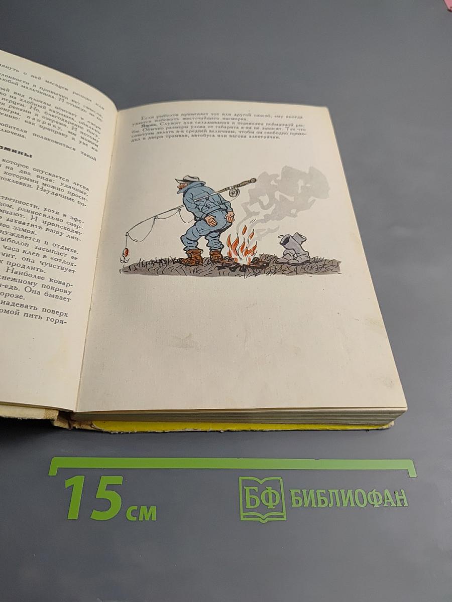 Год Рыболова