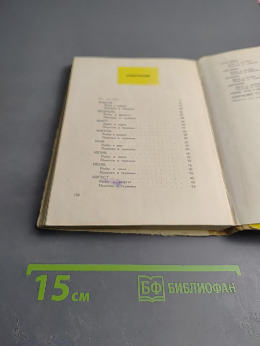 Год Рыболова