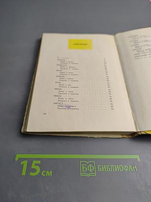 Год Рыболова