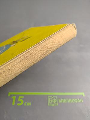 Год Рыболова