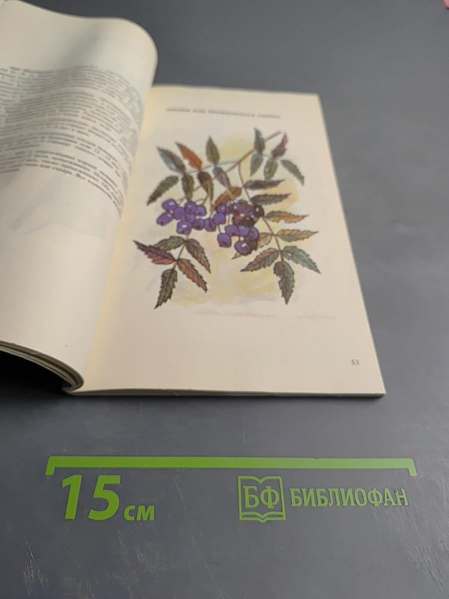 Лекарственные растения в лечении заболеваний сердечно-сосудистой системы