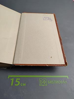 Когда цветут камни