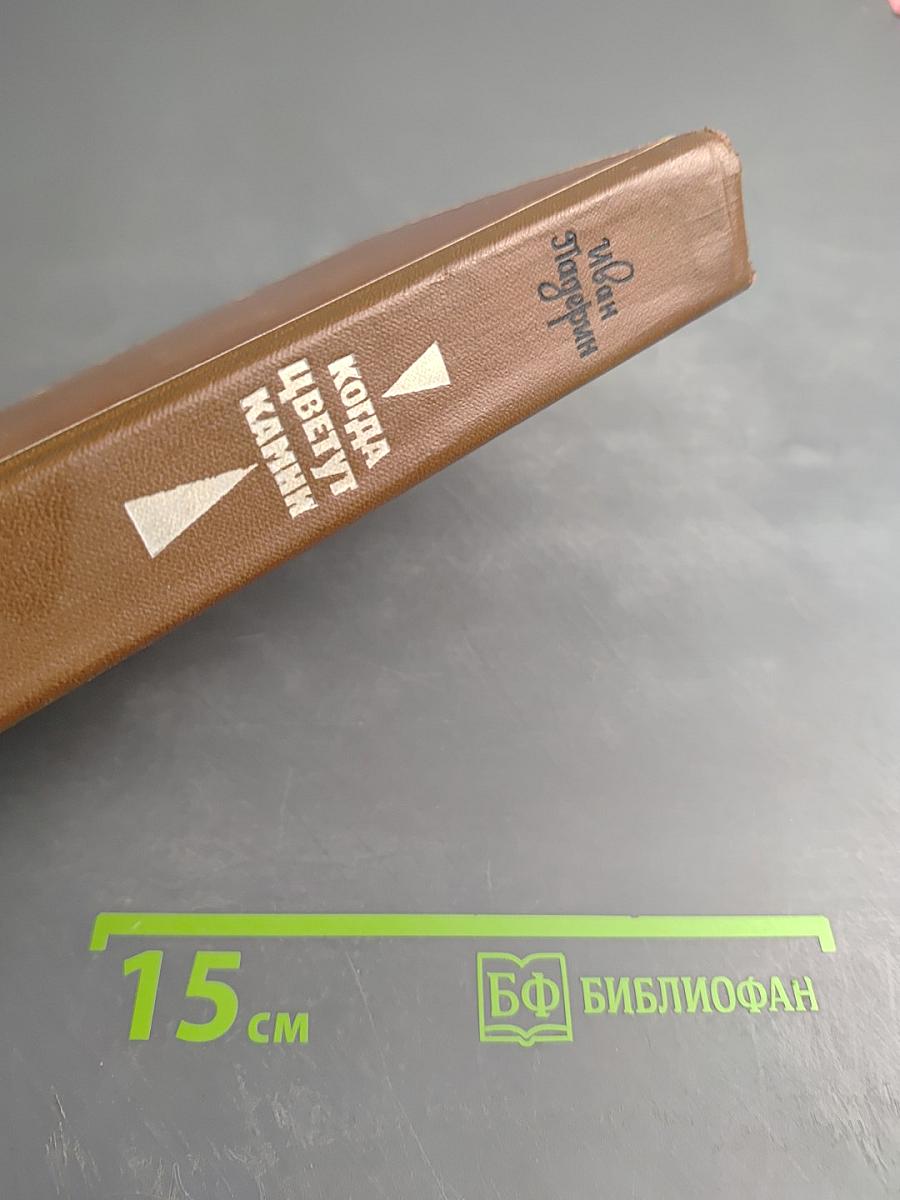 Когда цветут камни