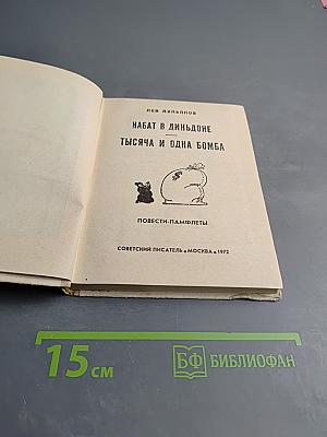 Набат в Диньдоне. Тысяча и одна бомба