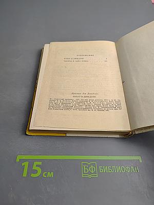 Набат в Диньдоне. Тысяча и одна бомба
