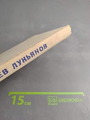 Набат в Диньдоне. Тысяча и одна бомба