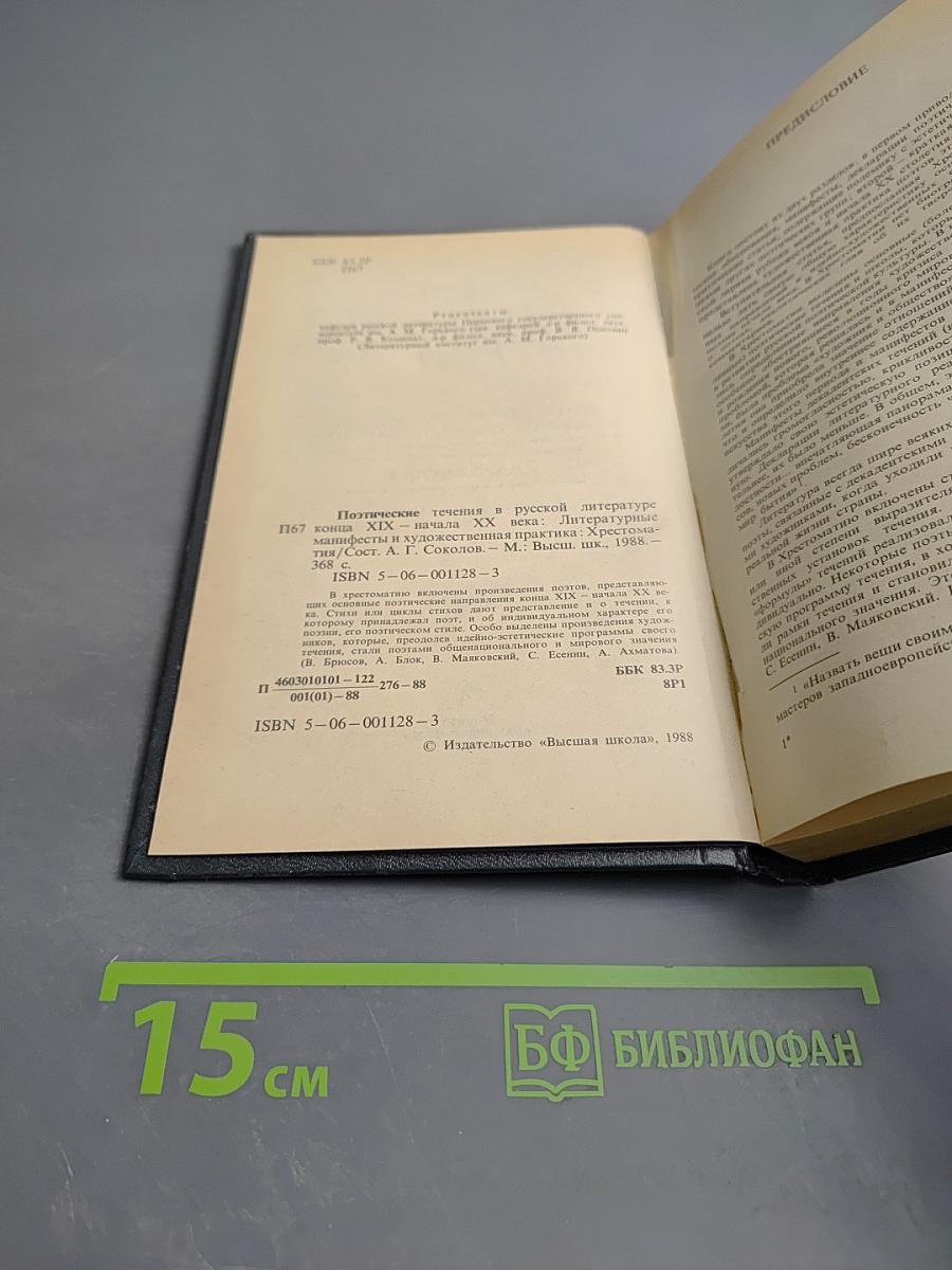 Поэтические течения в русской литературе конца XIX – начала XX века. Хрестоматия