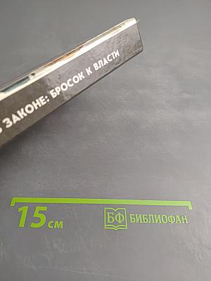 Воры в законе: бросок к власти