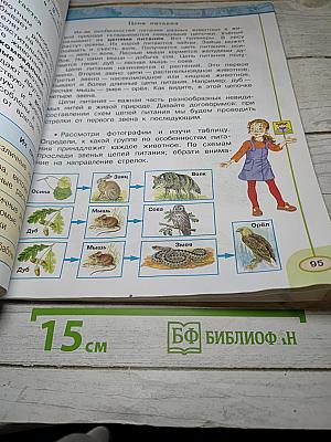 Окружающий мир, 3 класс, Часть первая
