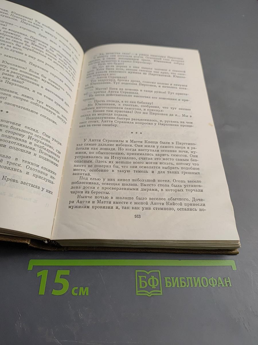 Красная черта. Партизанки и ее обитатели. Воскресший из мертвых