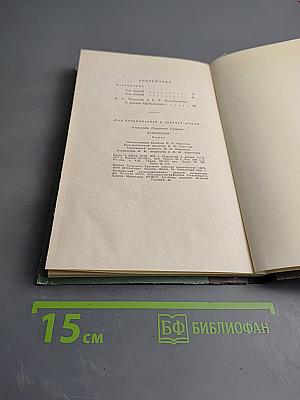 Дубровский