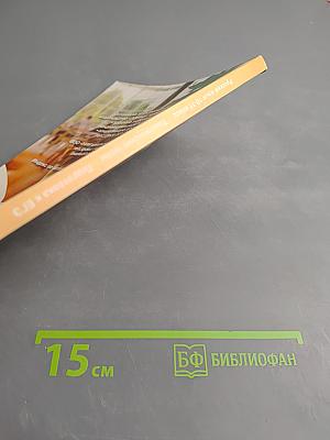 Русский язык 10-11 класс. Тематические тесты. Подготовка к ЕГЭ