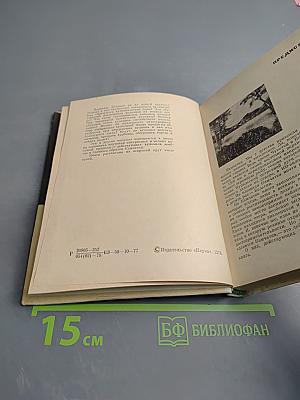 Каменные факелы Камчатки