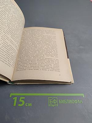 Каменные факелы Камчатки