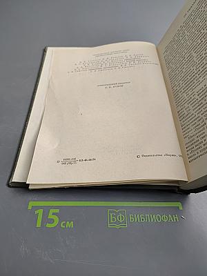 Русские ночи