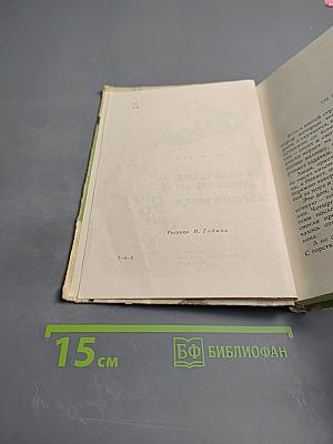 Валдайские колокольцы. Звери на улице