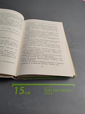 Валдайские колокольцы. Звери на улице