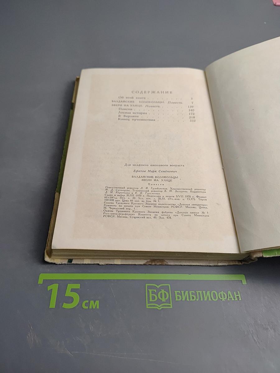 Валдайские колокольцы. Звери на улице