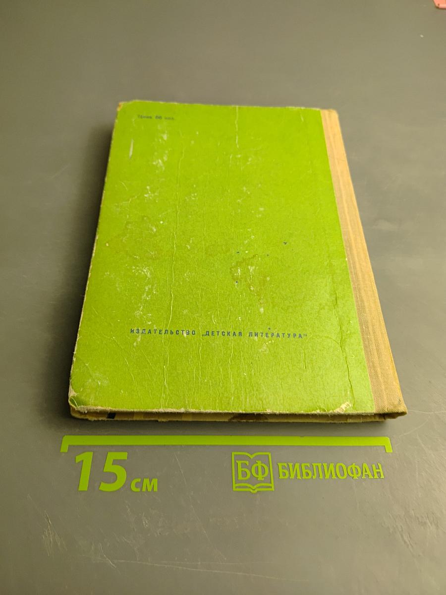 Валдайские колокольцы. Звери на улице