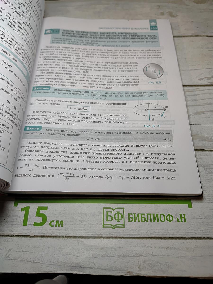 Физика 10 класс. Классический курс