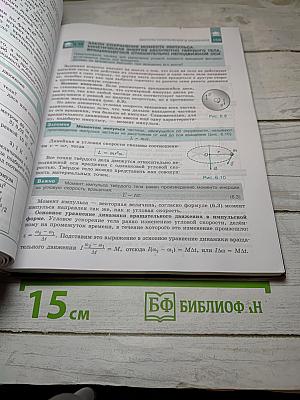 Физика 10 класс. Классический курс