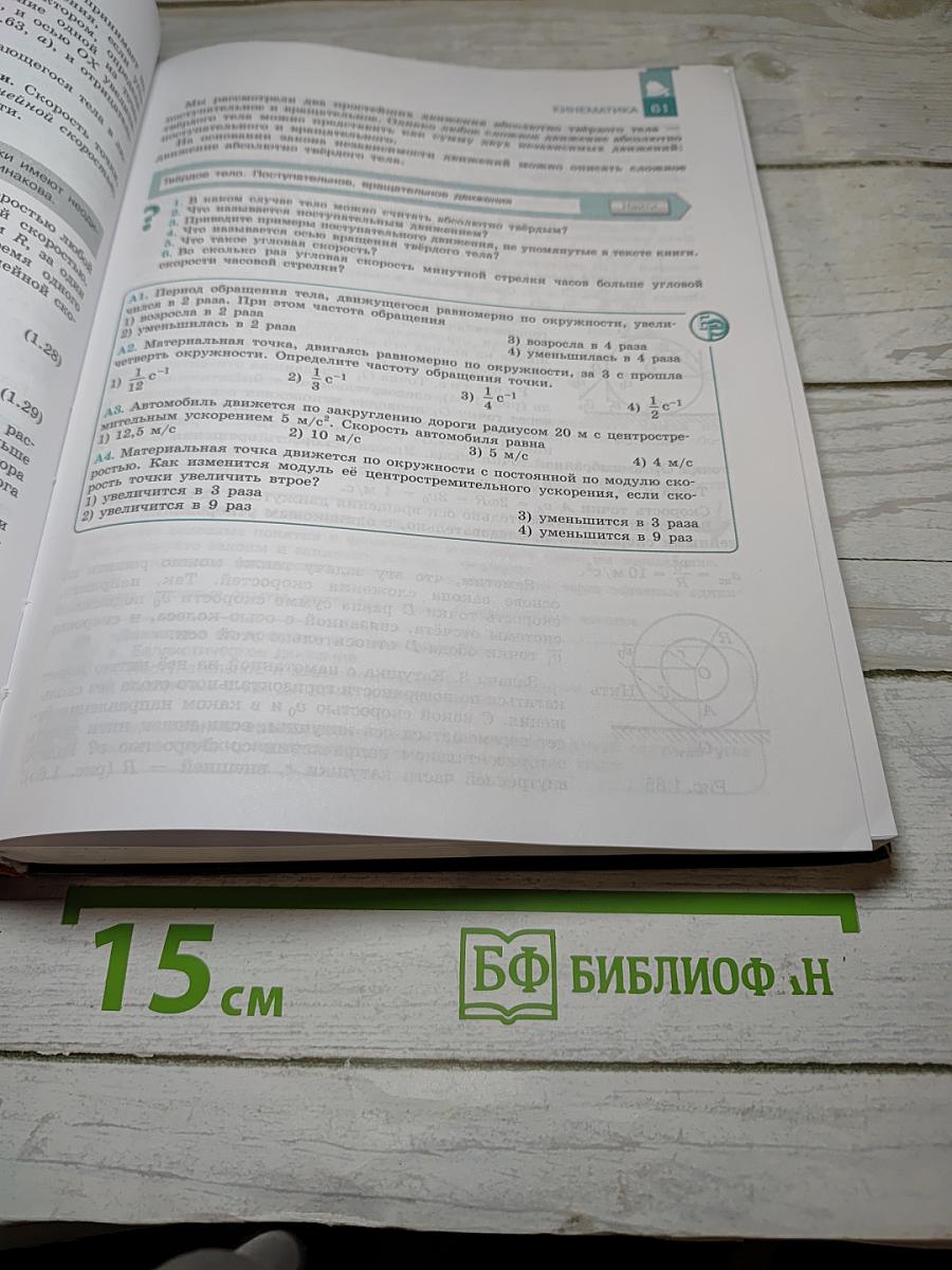 Физика 10 класс. Классический курс