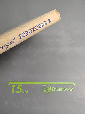 Гороховая, 2. Из хроники чекистских будней