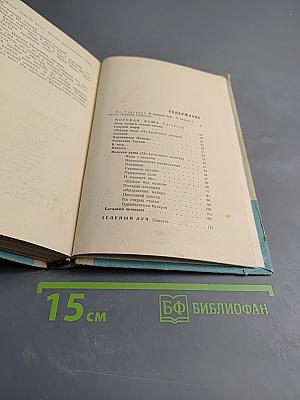 Морская душа. Зеленый луч